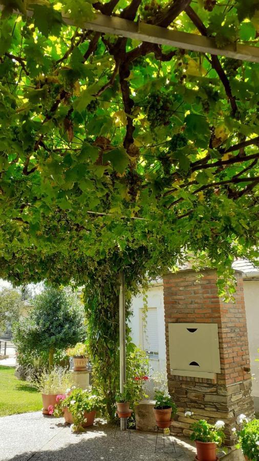 El Maragato Villa Castrillo de Cepeda Buitenkant foto